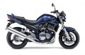 Suzuki GSF 1200 Bandit 2006